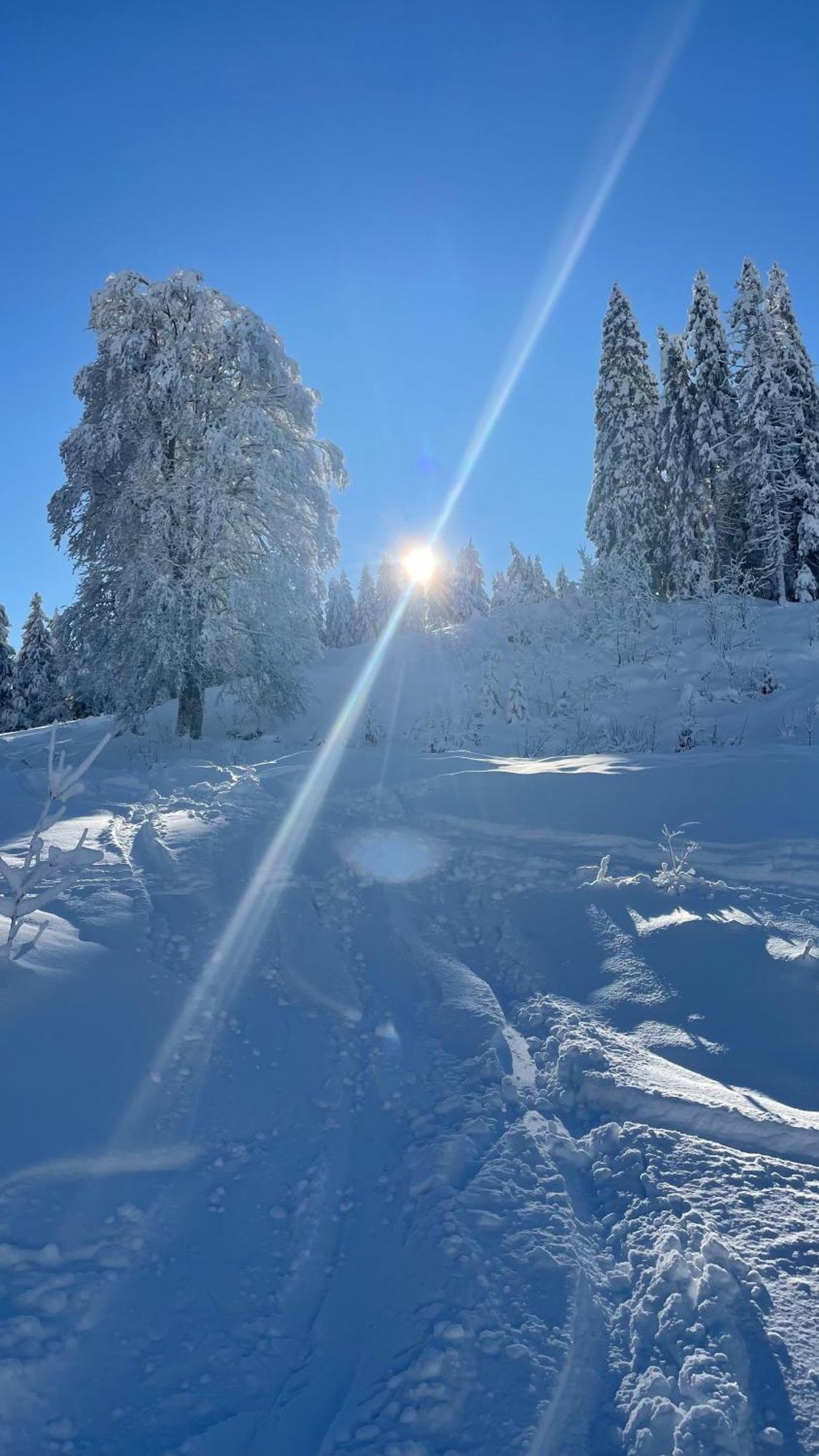 Kleineauszeit3, Feldberg, Direkt An Skipiste, Mit Sauna Feldberg  Eksteriør bilde